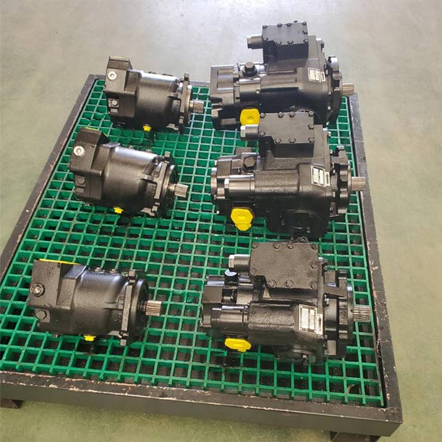 Hydraulic plunger pump motor