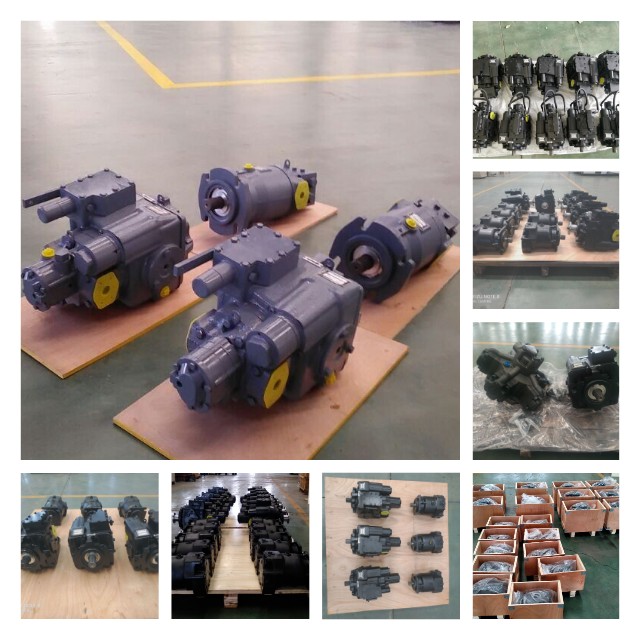 Customized hydraulic pump with all sizes