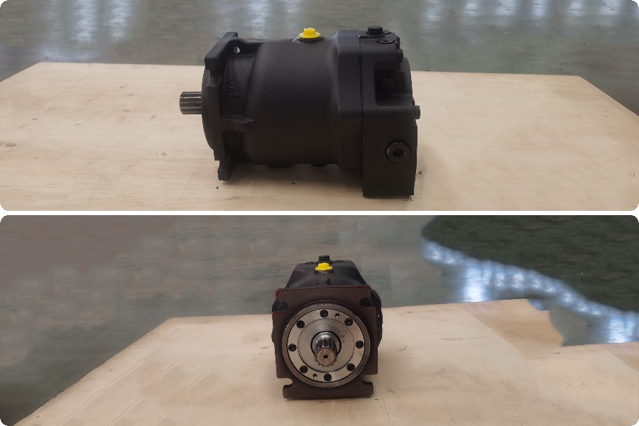 Roller plunger motor